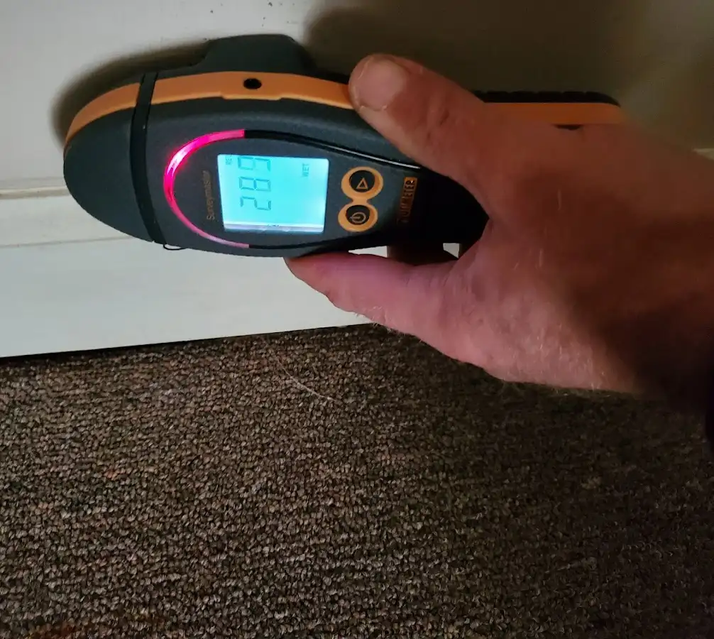 Moisture detection at baseboard during Sewage Cleanup & Sanitation in Greenfield