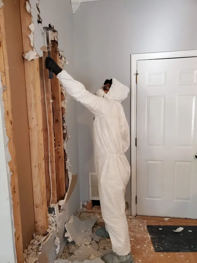 Mold Remediation & Removal in Greenfield, NY
